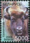 #BEL200810 - Belarus 2008 Wisent - Bison Bonasus 1v Stamps MNH Animal   2.49 US$ - Click here to view the large size image.