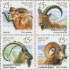 #RUS201304SH - Russia 2013 Fauna - Wild Goats and Rams 4v Stamps MNH   1.49 US$ - Click here to view the large size image.